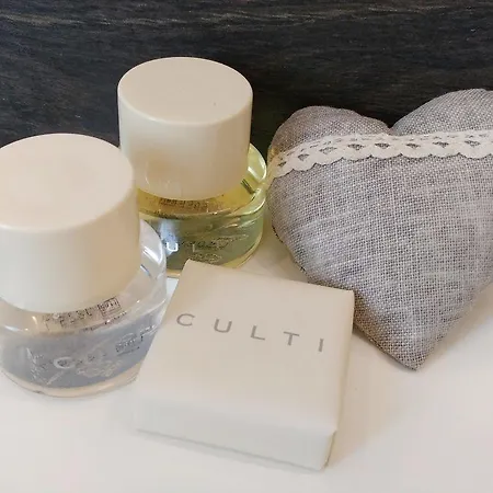 Vogue Luce 보게라